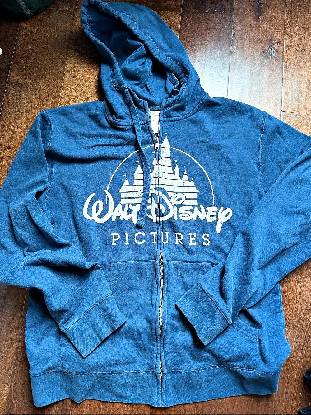 Walt Disney Pictures Zip up Hoodie Blue